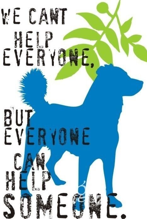 78cb6752592822cf6425b311d5249e61