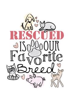 0612bb8a5f6bd9960258f1f2324c411c