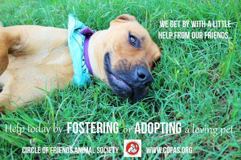 11391549_10152456800442325_9132371159399330623_n