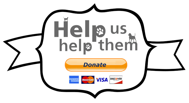 cf2622_4ae254349d014a59b3d81efaa6d3b981